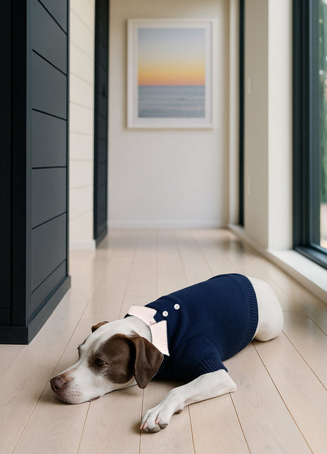 Nooee Pet Polo Wool Sweater – 100% Wool Knit with Classic Collar