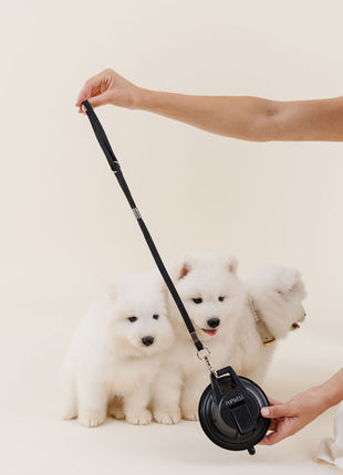 Stay In Place Leash