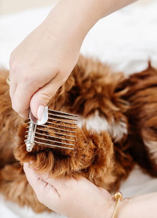 The Detangler