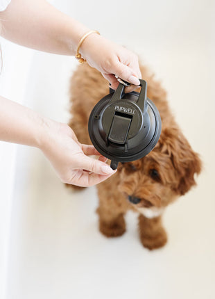 Stay In Place Leash