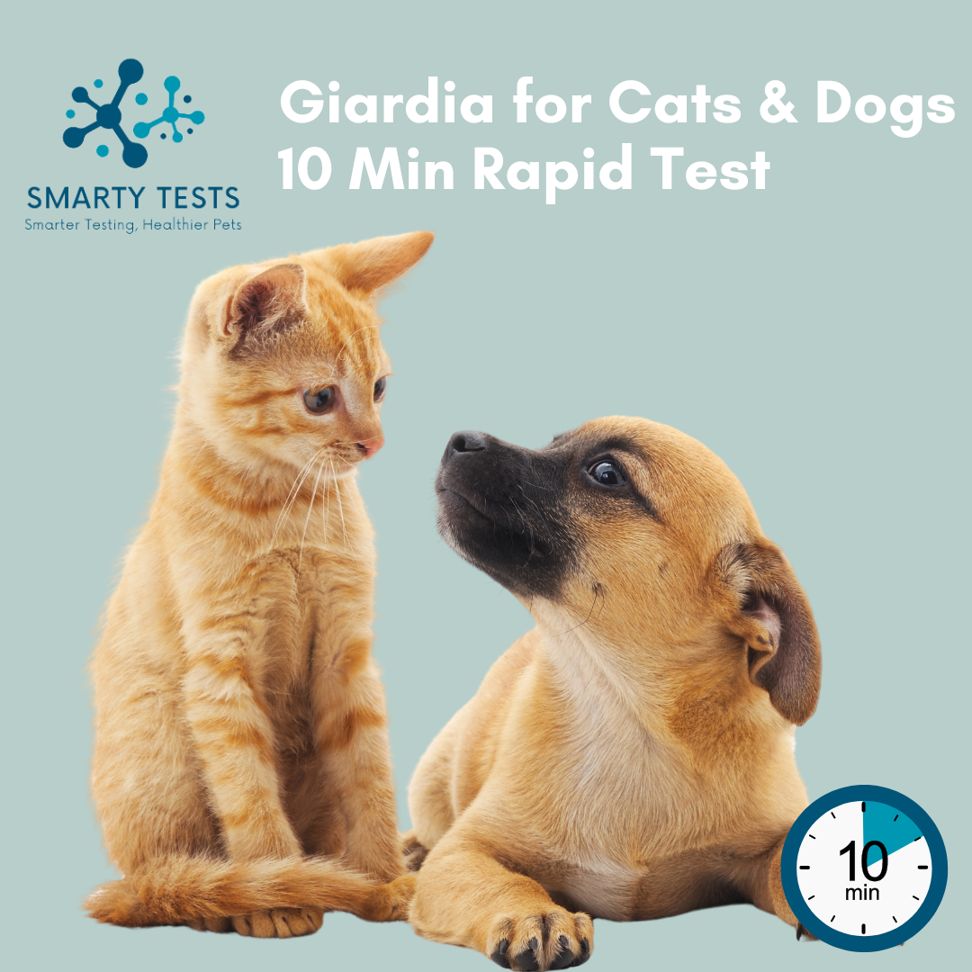 Giardia 10-Minute Rapid Test for Cats & Dogs (Fecal Test): At-Home Testing