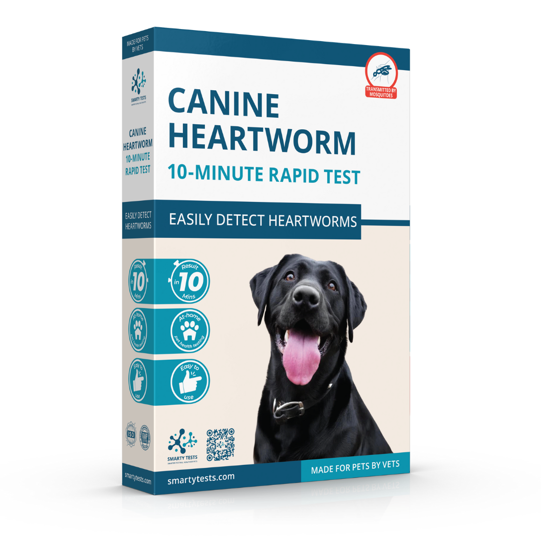Canine Heartworm 10-Minute Rapid Test: At-Home Testing