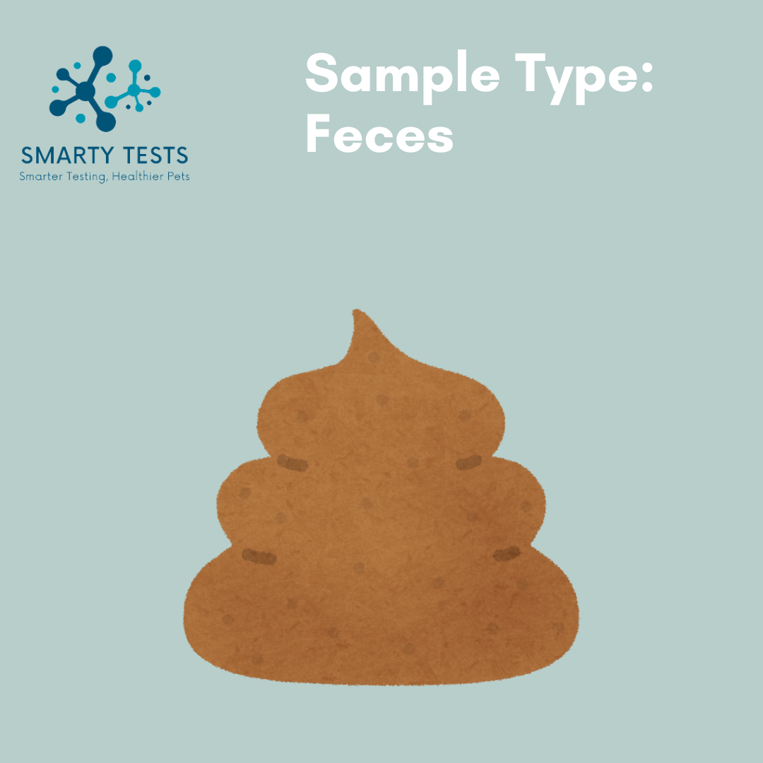 Canine Parvovirus (Parvo) 10-Minute Rapid Test: At-Home Testing