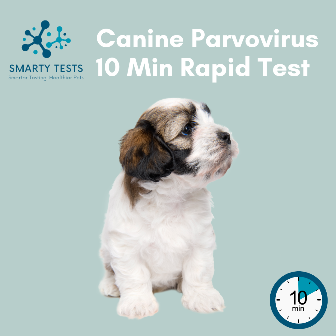 Canine Parvovirus (Parvo) 10-Minute Rapid Test: At-Home Testing