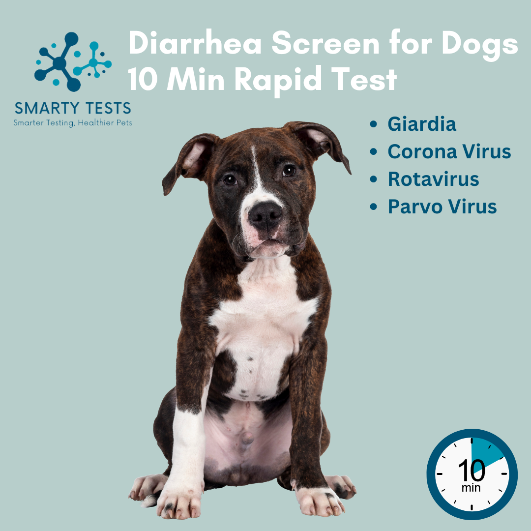 Diarrhea Screen 10-Minute Rapid Test for Dogs: At-Home Testing
