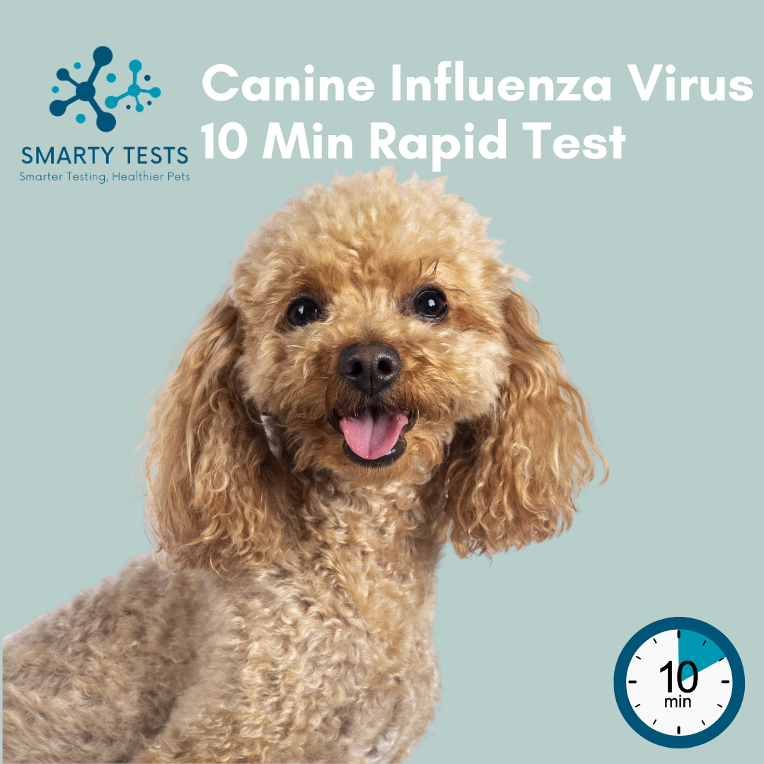 Canine Influenza Virus (Dog Flu) 10-Minute Rapid Test: At-Home Testing