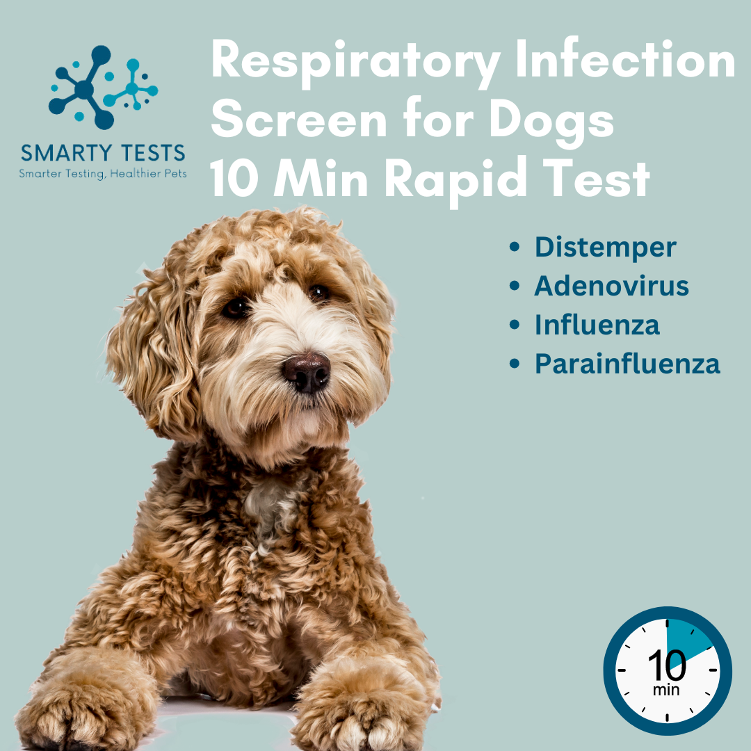 Respiratory Infection Screen for Dogs 10-Minute Rapid Test (Dog Coughing Test): At-Home Testing