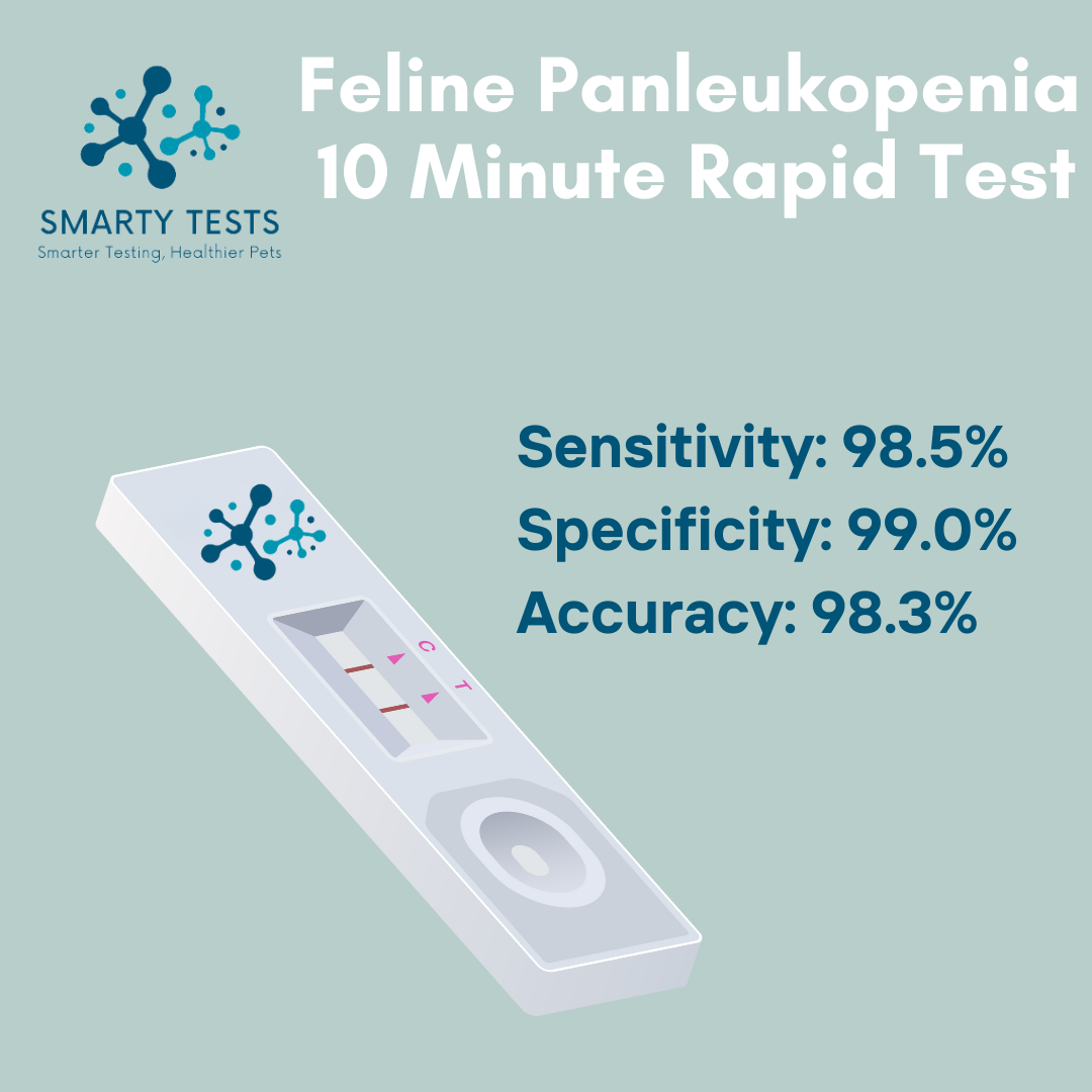 Feline Panleukopenia 10 Minute Rapid Test: At-Home Testing