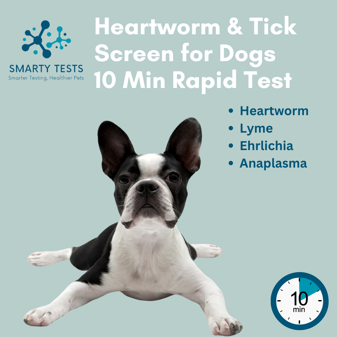 Heartworm & Tick Screen for Dogs 10 Min Rapid Test: At-Home Testing