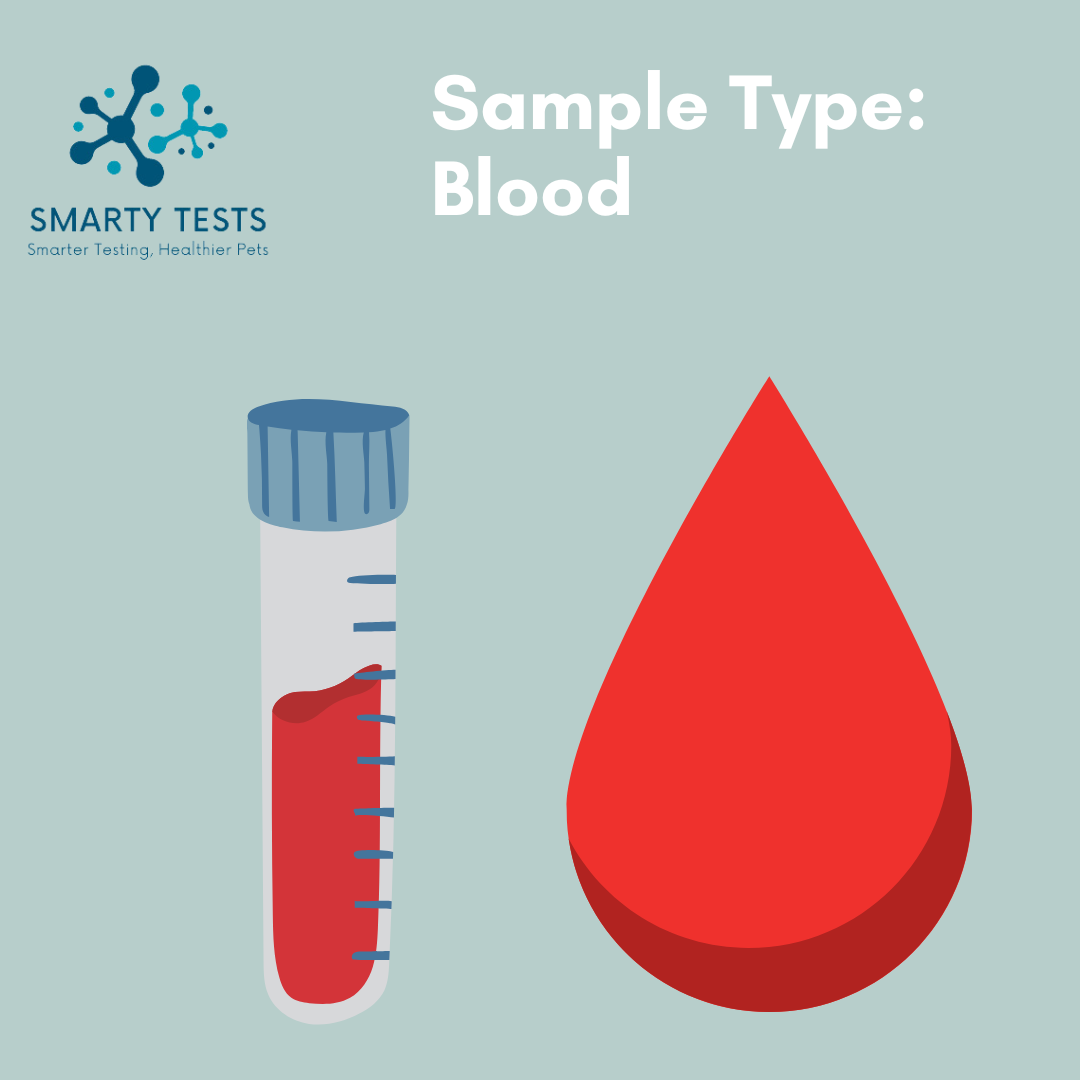 Canine Heartworm 10-Minute Rapid Test: At-Home Testing