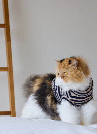 Nooee Pet Polo Wool Sweater – 100% Wool Knit with Classic Collar