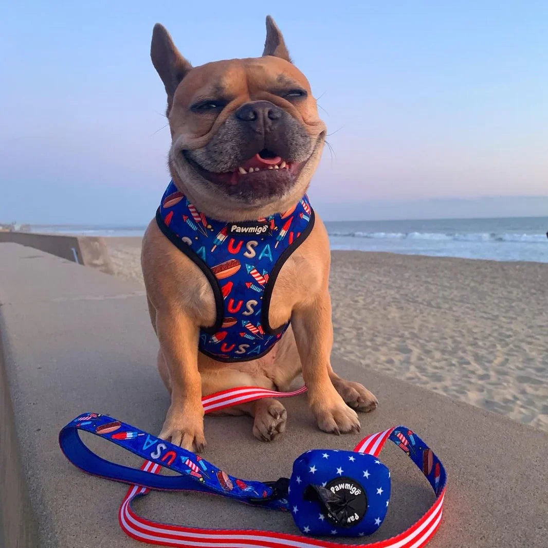 Keeping Your Pup Safe This 4th of July