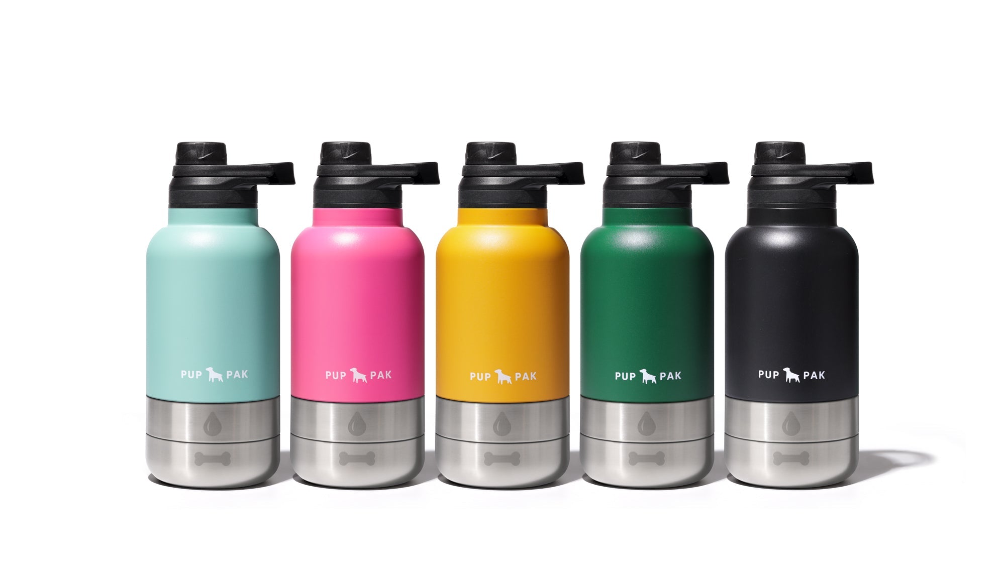 Newly Dropped Trending Items for Your Pup