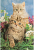Keep Your Indoor Cat Happy This Spring with Puplist