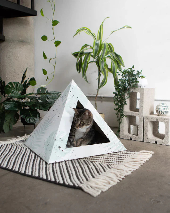 Unleash the Power of PupList: Your Ultimate Cat Registry