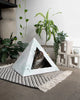 Unleash the Power of PupList: Your Ultimate Cat Registry