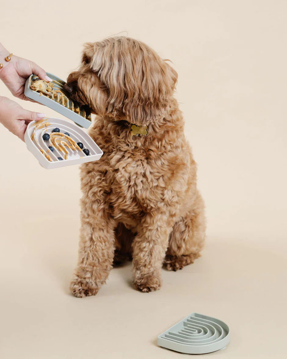 Slow Feeding & Mealtime Wellness: Why Your Dog's Eating Habits Matter