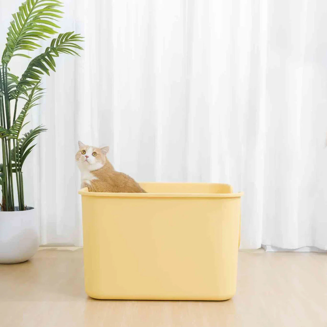 Complete Guide to Choosing the Perfect Litter Box for Your Cat
