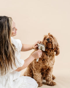 Collection image for: Grooming