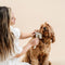 Grooming