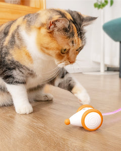 Collection image for: Cat Toys