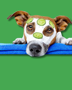 Collection image for: Health & Wellness