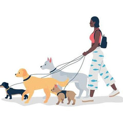 Collection image for: Small Breeds