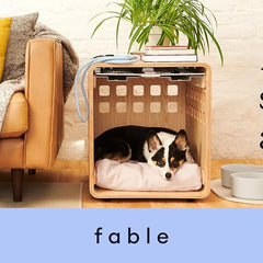 Collection image for: Fable