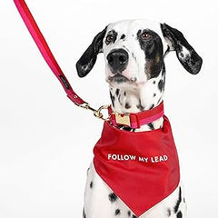 Collection image for: Bandanas & Bowties