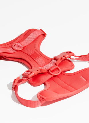 Luxe Harness - Poppy - Pup List