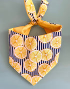 Lemon Dog Bandana