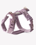 Lilac - Velvet Dog Harness