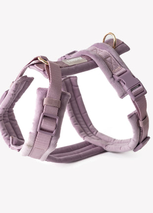 Lilac - Velvet Dog Harness