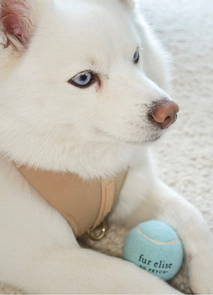 So Fetch! Tennis Ball - Cloud