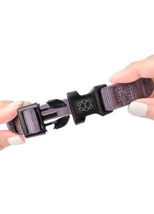 City Collar - Lilac Gray - Pup List