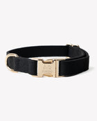 'Black' - Canvas Dog Collar