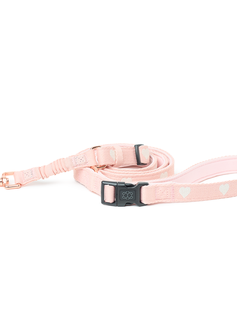 3-in-1 City Dog Leash - Sweetheart - Pup List