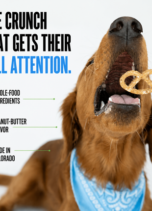 Peanut Butter Pretzels