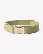 'Green' - Canvas Dog Collar