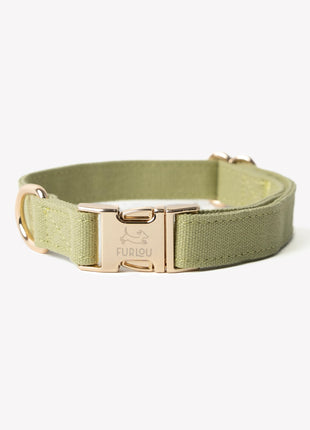 'Green' - Canvas Dog Collar
