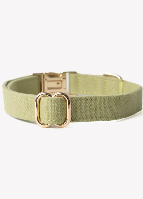 'Green' - Canvas Dog Collar