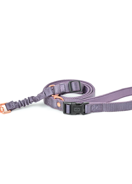 3-in-1 City Dog Leash - Lilac Gray