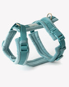 Blue - Velvet Dog Harness
