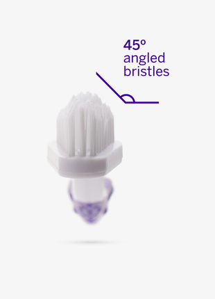 Professional Pet Toothbrush - Patented 45° Dual-Ended Brush Head