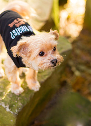 Parisian Pet 'Got Treats?' Novelty Dog Apparel – Fun Embroidered Pet Wear for Dogs & Cats, Black