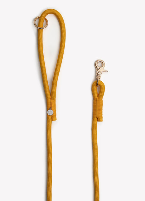 'Yellow' - Braided Rope Leash