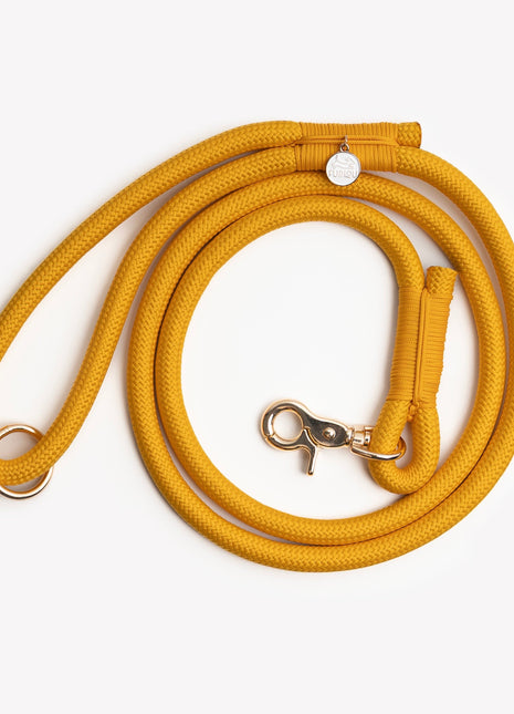 'Yellow' - Braided Rope Leash