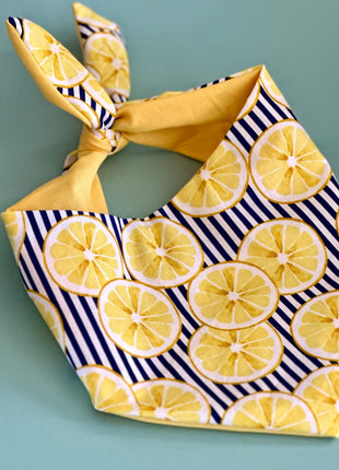Lemon Dog Bandana
