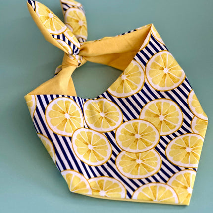 Lemon Dog Bandana