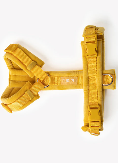 Yellow - Velvet Dog Harness